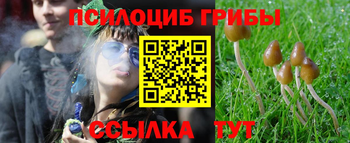 Галлюциногенные грибы Magic Shrooms  где найти наркотики  Усинск  Вход с VPN 